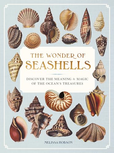 Wonder of Seashells: Discover the Meaning & Magic of the Ocean's Treasures