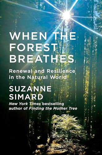 When the Forest Breathes: Renewal and Resilience in the Natural World