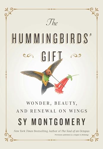 Hummingbirds' Gift: Wonder, Beauty, and Renewal on Wings